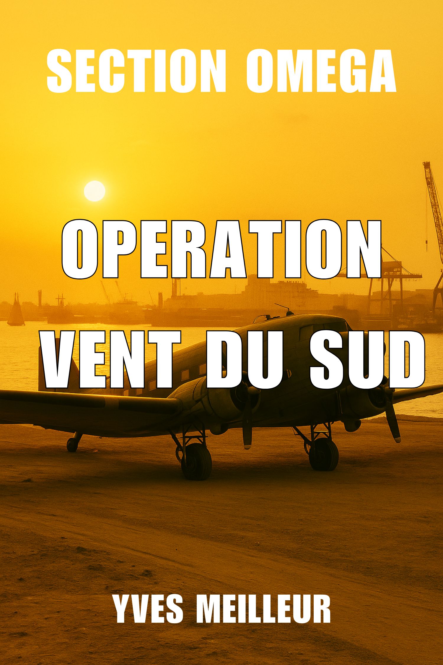 Opération Vent du Sud